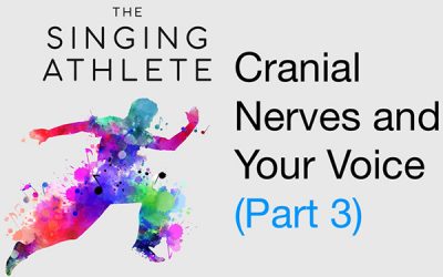 Cranial Nerves and Your Voice, Part 3